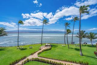 Maalaea Kai 311 - Direct Ocean Front, Split AC - Wailuku - 0
