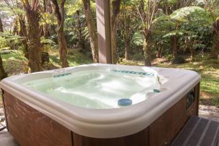 Hale Mauna Loa Upper Level with shared Hot Tub - Volcano - 9