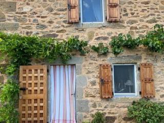 Maison de vigne avec terrasse et cheminée - FR-1-582-250 - Tailhac - 6