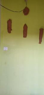 Farmers Corner Homestay Aronda Near Arambol Beach - Corgao - 5