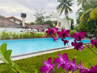 Star Holiday Resort - Hikkaduwa - 4