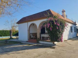 CHALET VILLA MARÍA ANTONIA - Cantillana - 8