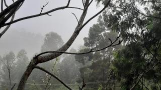 jacaranda resorts - Kanthalloor - 5