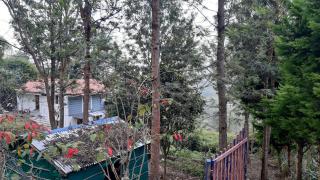 jacaranda resorts - Kanthalloor - 7