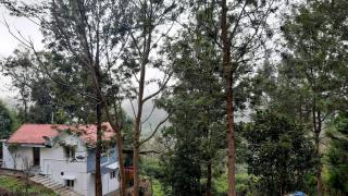 jacaranda resorts - Kanthalloor - 8