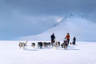 Reisa Lodge - Storslett - 1