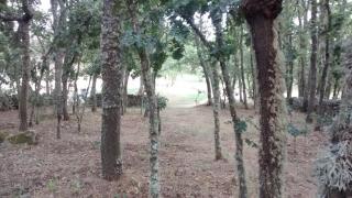 Las Casitas de las Arribes - Aldeadávila de la Ribera - 2