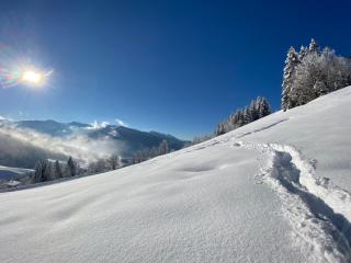 Finkhof Appartements - 2