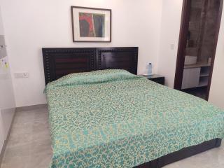 Fully Furnished Comfortable Rooms in Hauz Khas - Woodpecker Apartments - Nueva Delhi - 2