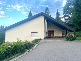 Bodea Alpenblick - Rickenbach - 4