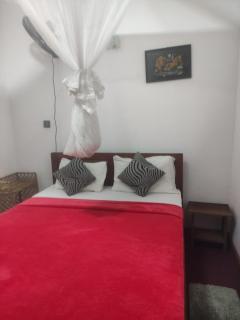 Nice Ella - Ella - 8