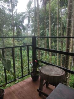 Nice Ella - Ella - 1