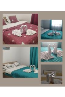 ASK MOUNTAIN - Buşteni - 7