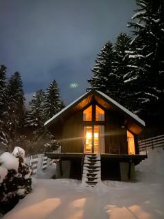 Bramble Tiny House - Zărneşti - 9