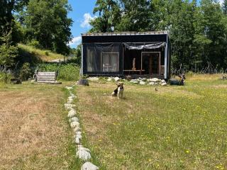 Linda Cabaña pet friendly a orilla rio y bosque, cerca Termas - Panguipulli - 8
