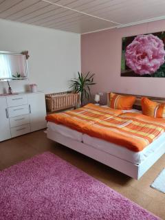 Ferienwohnung im Schwarzwald - Neuweiler - 0