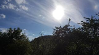 Idyllische Wohnung mitten in der Natur „ Haus Magnolia „ - Fischbachtal - 1