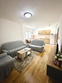 Roomy Lux Apartmant - Podgorica - 0