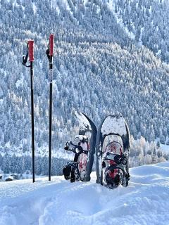 Tinyhouse Style - Obergesteln - 7