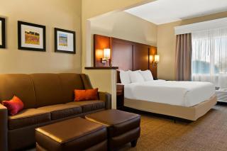 Comfort Suites- Saginaw - Saginaw - 6