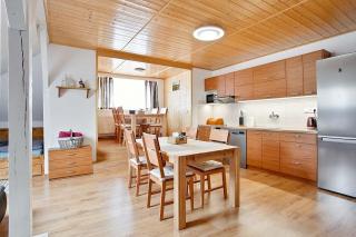 APARTMÁN U MAXÍKŮ - Černý Dŭl - 0