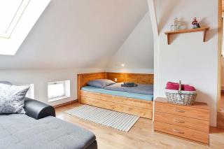 APARTMÁN U MAXÍKŮ - Černý Dŭl - 6