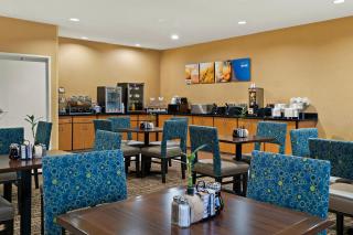 Comfort Suites- Saginaw - Saginaw - 2