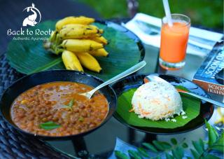 Back to Roots Ayurveda Retreat - 3