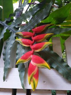Casa La Moore Self Catering Accomodation - Durban - 9