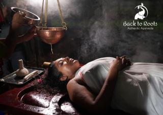 Back to Roots Ayurveda Retreat - 0