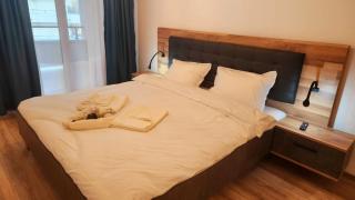 Save Relaxing Residence Brasov - Braşov - 3