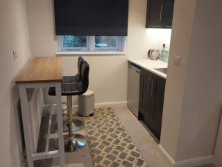 Turing Lodge, near Hampton Court - 5