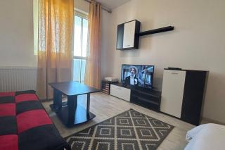 Urban Oasis Studio elegant cu parcare - Popeşti-Leordeni - 9