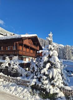 Andreas Apartment im Landhaus Moser - Alpbach - 9