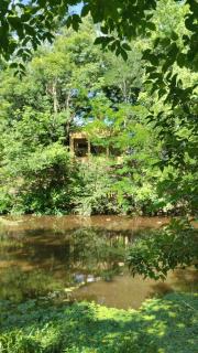 Torito's House 3 - 5