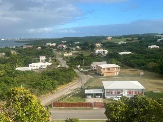 Breathtaking View Villa - Piggotts - 2