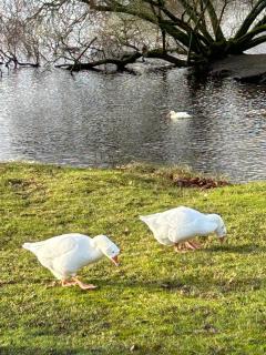 Afbeelding van de locatie