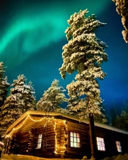 Arctic Lodges Lapland Ski In Family Studio, Wi-Fi, National Park - Lapland Villas - Pyhätunturi - 6