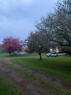 Farm House - Coldwater - 5