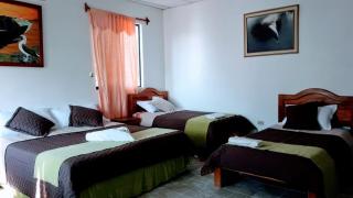 CACTUS EXPERIENCE - Puerto Villamil - 1