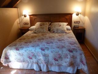 Hotel Bocalé - Sallent de Gállego - 7