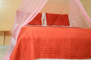 Triple Tee Gardens & Accomodation - Wakiso - 4
