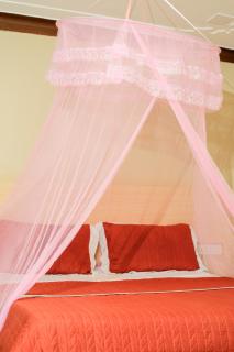 Triple Tee Gardens & Accomodation - Wakiso - 5