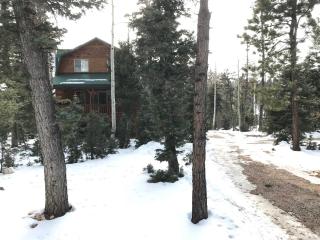 Christensen Retreat - Duck Creek Village - 8
