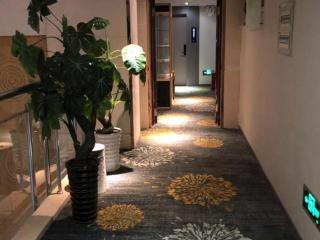 JUNYI Hotel Nanjing Olympic Sports Center - Nanjing - 9