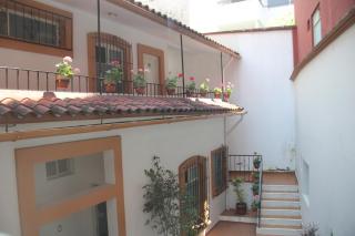 Rolovi Hotel Xalapa Centro - 2