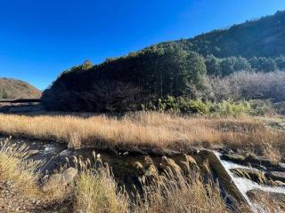 川の音を聴きながら非日常体験を-伊豆の川辺に佇む小さなアパート-一人旅歓迎 - 9