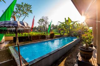 Asri Sari Villa Ubud - Ubud - 6