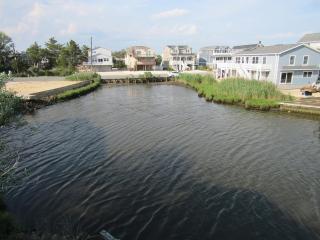 Lagoon Front Home In Harvey Cedars - Harvey Cedars - 5