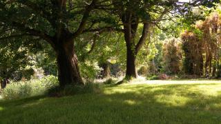 Purple Hen Country Lodge - 6